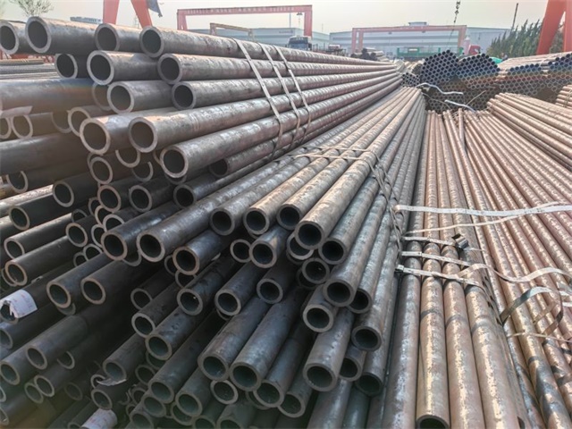 IMG_20230401_155045.jpg IMG_20230401_155045.jpg